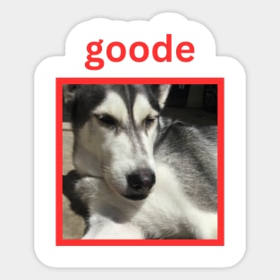 Husky Squinting Red Goode Simple Sticker